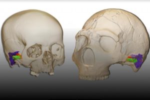 Neanderthals and Human Speech