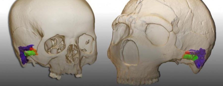 Neanderthals and Human Speech